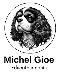 Centre canin Michel Gioé