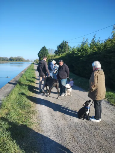 Cours collectifs canin Douaisis à Douai, Douai, Centre canin Michel Gioé