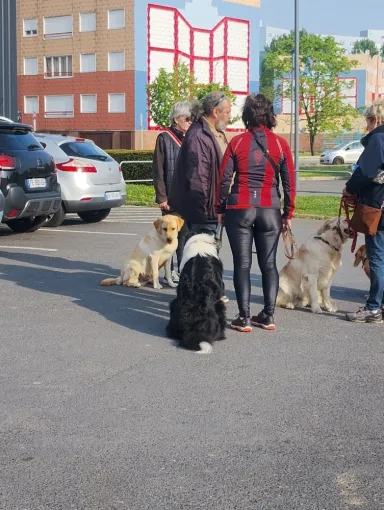 Ça se passe aussi dans la bonne humeur