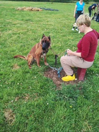 Tatoum, malinois qui ne pouvais pas voir d'autre chien. Trop réactif congénères