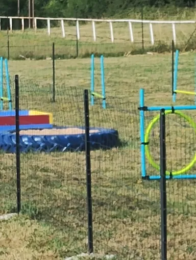 Conçu pour tester l'agilité de votre chiot dans un endroit clos et sécurisé.