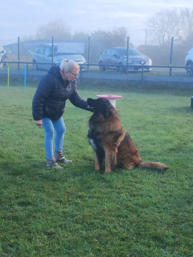 Educateur comportementaliste canin Nord Pas de Calais , Cambrai, Centre canin Michel Gioé