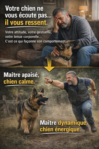 Un chien est le reflet de votre état intérieur. , Cambrai, Centre canin Michel Gioé