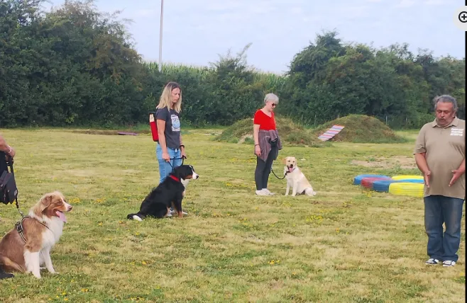 Cours canin collectif à Sauchy Cauchy 62860