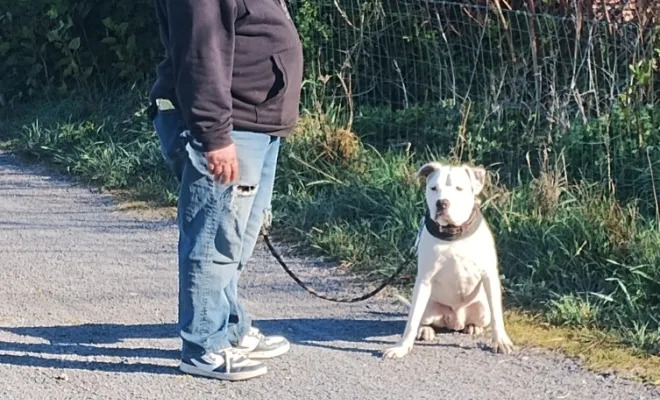 Mon Bil, un chien d'exeption, Douai, Centre canin Michel Gioé