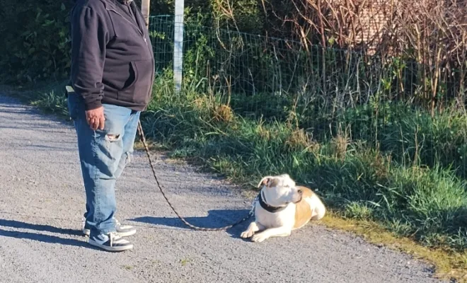 Mon Bil, un chien d'exeption, Douai, Centre canin Michel Gioé