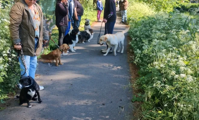 Cours collectif du samedi 10 mai 2025 sur Lambres lez Douai, Douai, Centre canin Michel Gioé