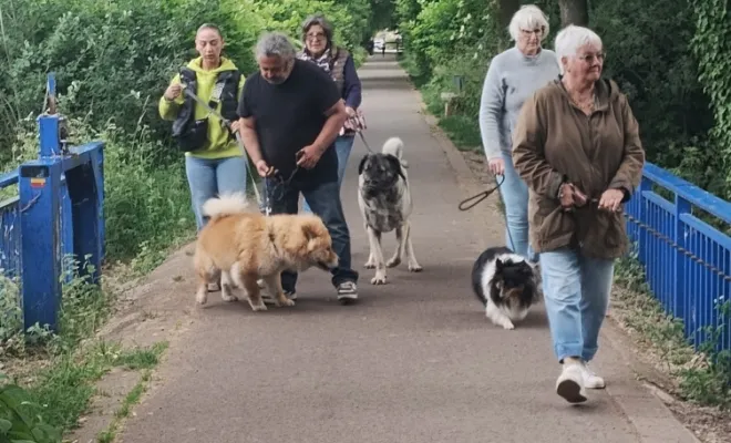 Photos du cours collectifs du samedi 24 mai 2025, Douai, Centre canin Michel Gioé