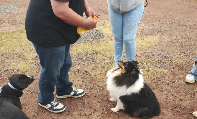 Notre habituée Olympe qui avait peur de tout