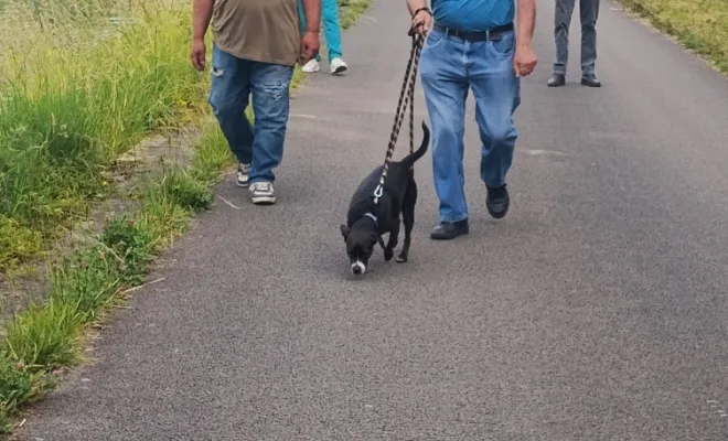 Photos du cours collectif du 31 mai 2025 à Férin , Douai, Centre canin Michel Gioé
