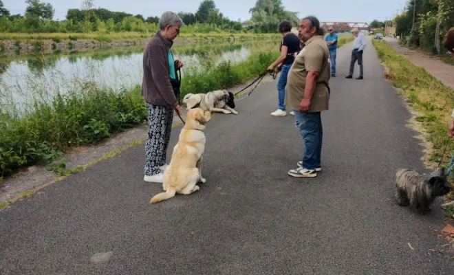 Photos du cours collectif du 31 mai 2025 à Férin , Douai, Centre canin Michel Gioé