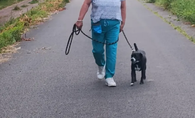 Une petite marche au pied avec Rackelle