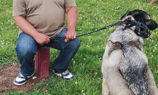 Un chien heureux est un chien bien éduqué 
