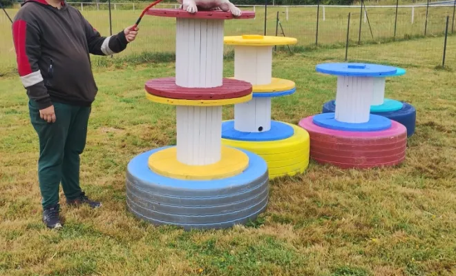 Ouf ça bouge et c'est haut. Bon, c'est quand même amusant. Bil chien de cirque