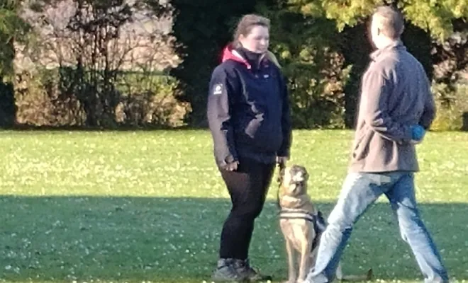En cours canin individuel près de Cambrai Douai Lens Arras