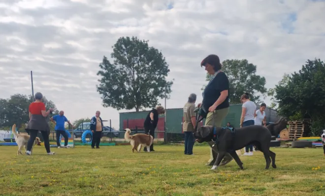On s'amuse tout en éduquant votre chien