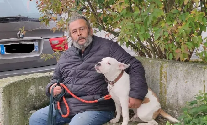 Educateur comportementaliste canin intervention à domicile sur Arras