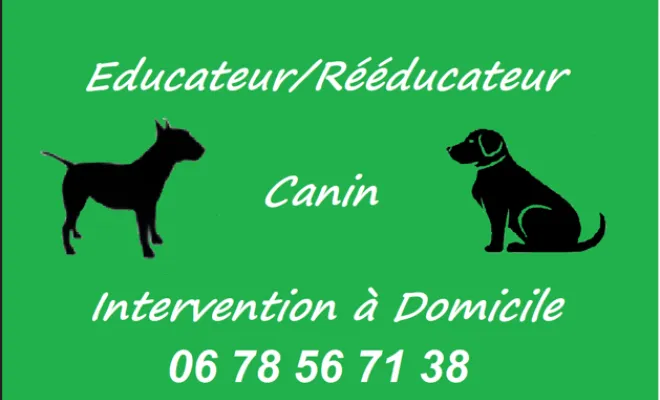 Educateur comportementaliste canin intervention à domicile sur Lens