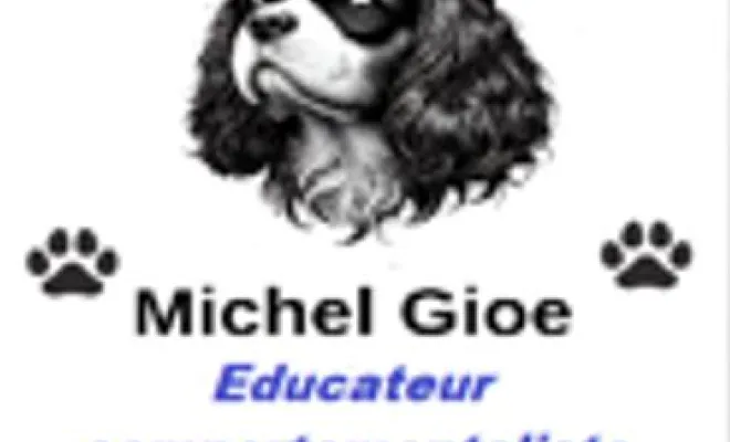 Educateur comportementaliste canin intervention à domicile sur Hazebrouck