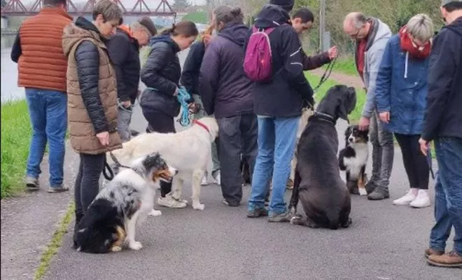 Cours collectif Douaisis, Douai, Centre canin Michel Gioé