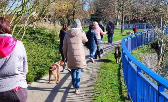 Cours collectif Douaisis, Douai, Centre canin Michel Gioé