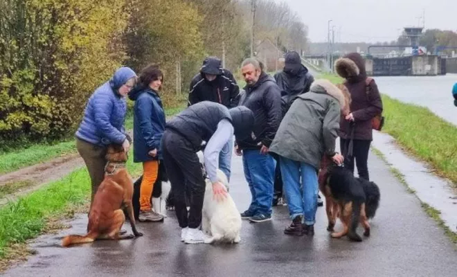 Cours collectif Douaisis, Douai, Centre canin Michel Gioé
