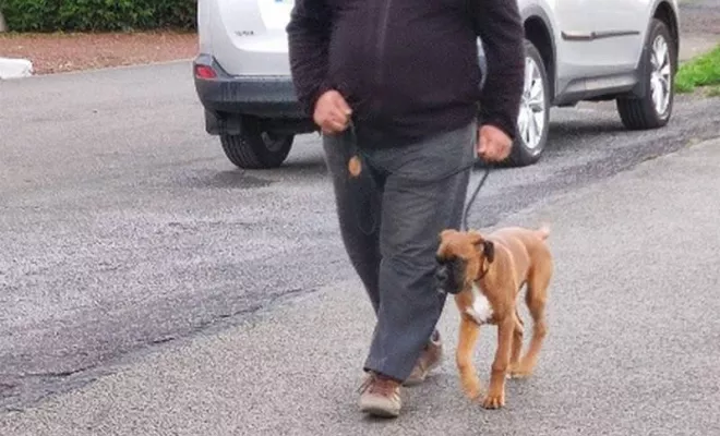 Cours collectif Douaisis, Douai, Centre canin Michel Gioé