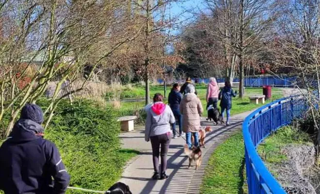 Cours collectif Douaisis, Douai, Centre canin Michel Gioé