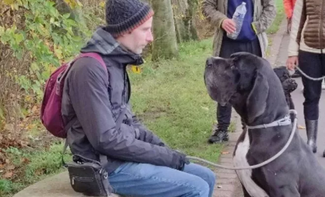 Cours collectif Douaisis, Douai, Centre canin Michel Gioé