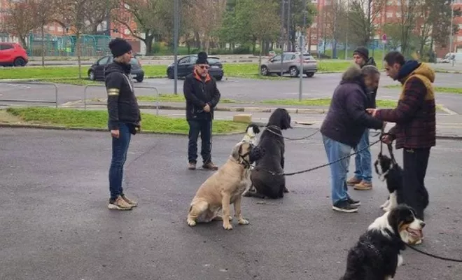 Cours collectif Douaisis, Douai, Centre canin Michel Gioé