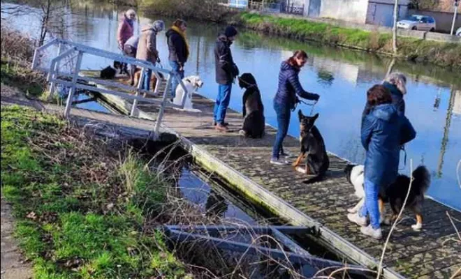 Cours collectif Douaisis, Douai, Centre canin Michel Gioé