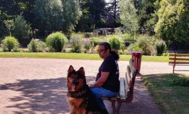 Éducation canine, Douai, Centre canin Michel Gioé