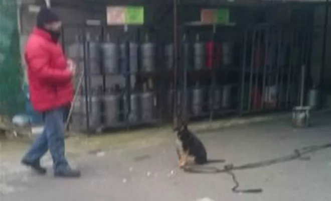 Formation éducateur canin, Douai, Centre canin Michel Gioé