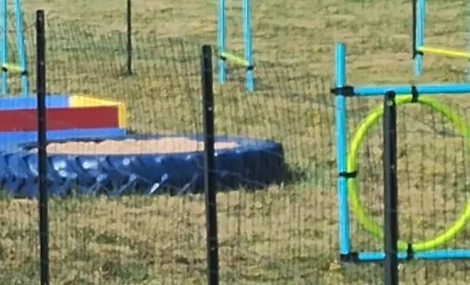 Parc destiné à la découverte et l'agilité du chiot