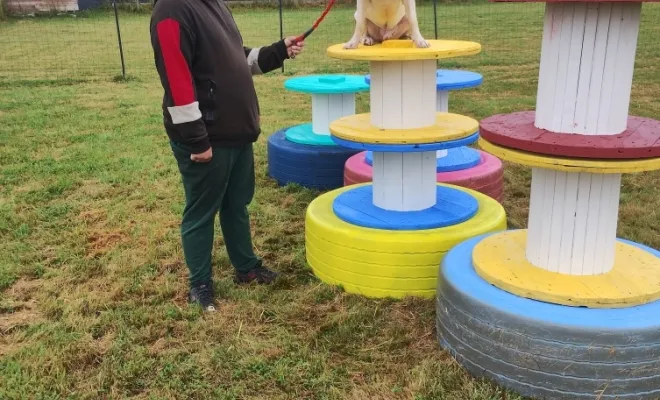 Une base de loisirs canin pour partager de bons moments avec notre ami canin de tous les jours