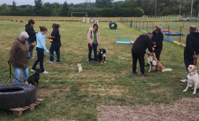 Photos du cours canin collectif du samedi 2 août 2025, Douai, Centre canin Michel Gioé