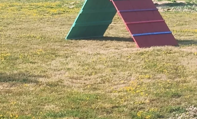 Il y aura de quoi s'amuser à la base de loisirs canin à Sauchy Cauchy avec votre compagnon à quatre pattes 