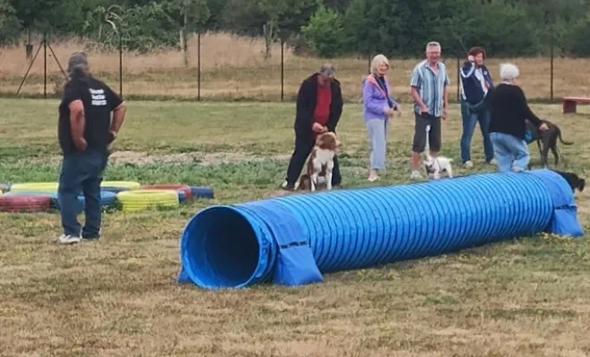 Cours canin collectif  Au pays de Fergie à Sauchy Cauchy 62860