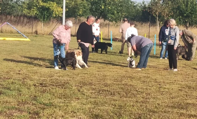 Photos du cours canin collectif du samedi 30 août 2025 à la base de loisirs canin Au pays de Fergie à Sauchy Cauchy , Douai, Centre canin Michel Gioé