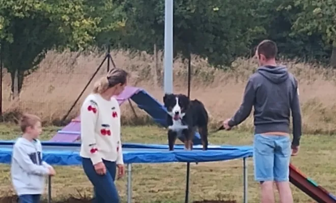 Photos du cours canin collectif du samedi 30 août 2025 à la base de loisirs canin Au pays de Fergie à Sauchy Cauchy , Douai, Centre canin Michel Gioé
