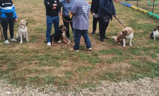 Photos du cours canin collectif du samedi 30 août 2025 à la base de loisirs canin Au pays de Fergie à Sauchy Cauchy , Douai, Centre canin Michel Gioé