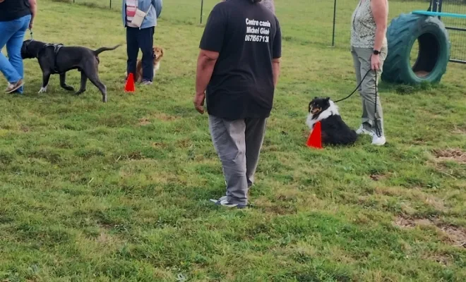 Un éducateur canin 🐕 autour de moi à Cambrai 