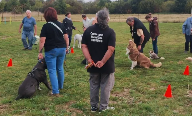 Cours collectifs pour chien Tous les samedis matins à Sauchy Cauchy près de Douai Cambrai Arras 