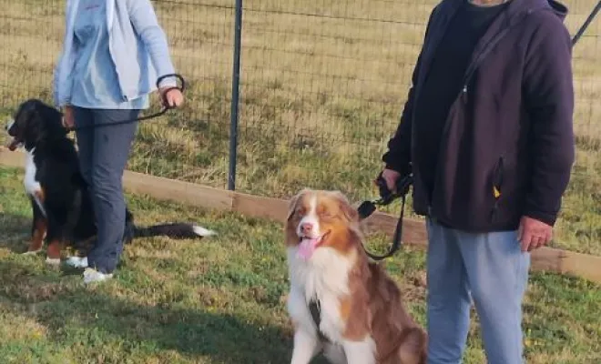 Cours canin collectif du samedi 13 septembre 2025 à Sauchy Cauchy sur le terrain de la base de loisir Au pays de Fergie