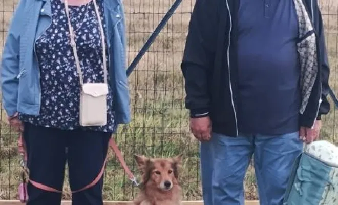 Cours canin collectif du samedi 13 septembre 2025 à Sauchy Cauchy sur le terrain de la base de loisir Au pays de Fergie