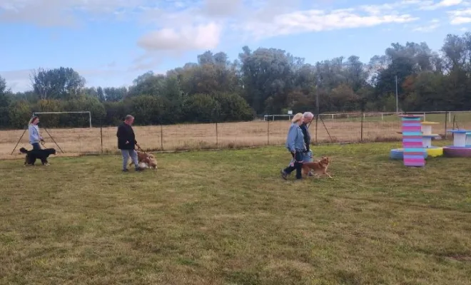 Cours canin collectif du samedi 13 septembre 2025 à Sauchy Cauchy sur le terrain de la base de loisir Au pays de Fergie