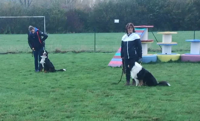 Educateur Pas de Calais 62