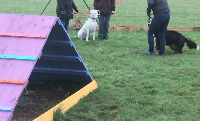 Un éducateur canin 🐕 autour de moi à Fressain 
