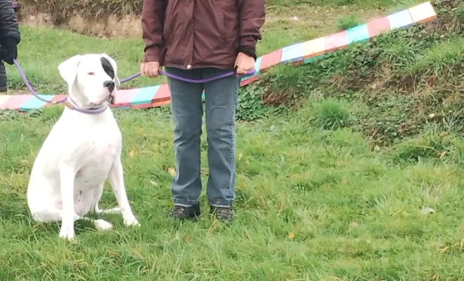 Un éducateur canin 🐕 autour de moi à Epinoy
