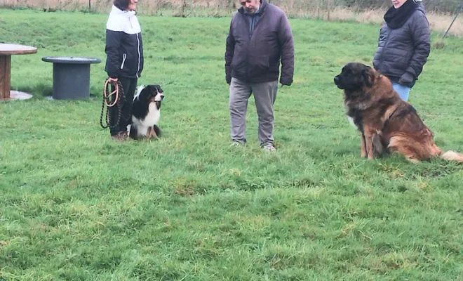 Un éducateur canin 🐕 autour de moi à Oisy Le Verger 